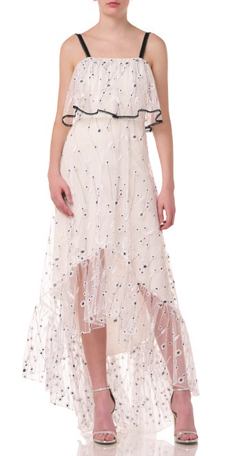 Sleeveless Embroidered Mesh  Gown