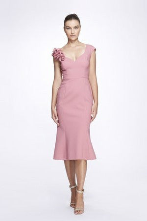Floral Cap- Sleeve Fit and Flare Dress
