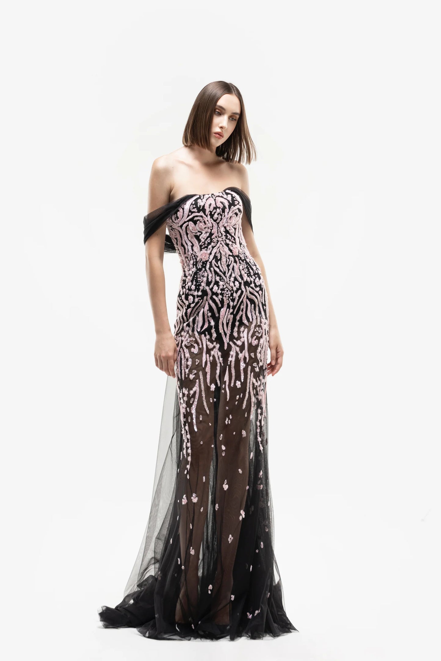 Embroidered Sheer Dress