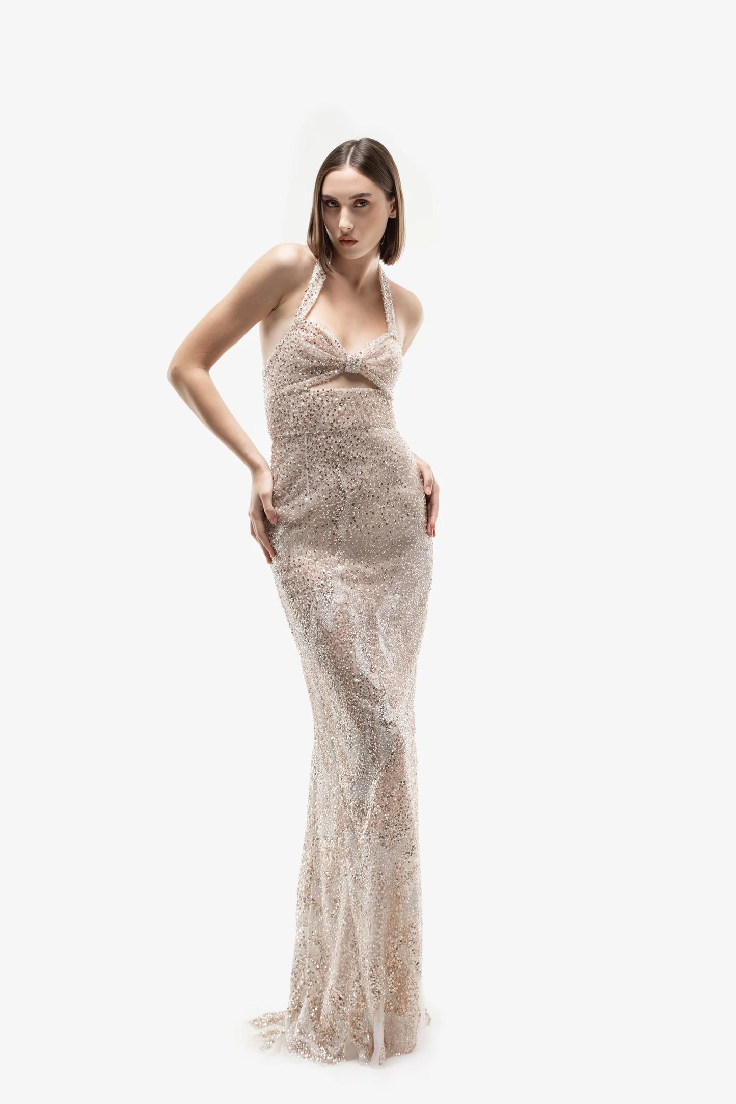 Embroidered Tulle Dress