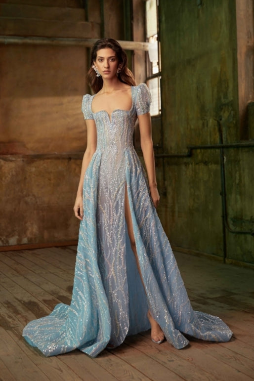 Short Sleeve Tulle Gown