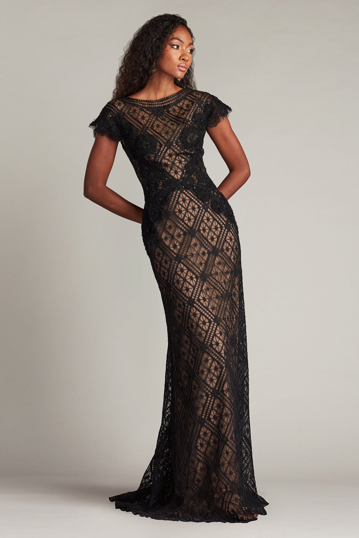 Semi-Sheer Cap Sleeved Gown