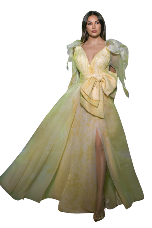 Sleeveless Printed Organza Gown