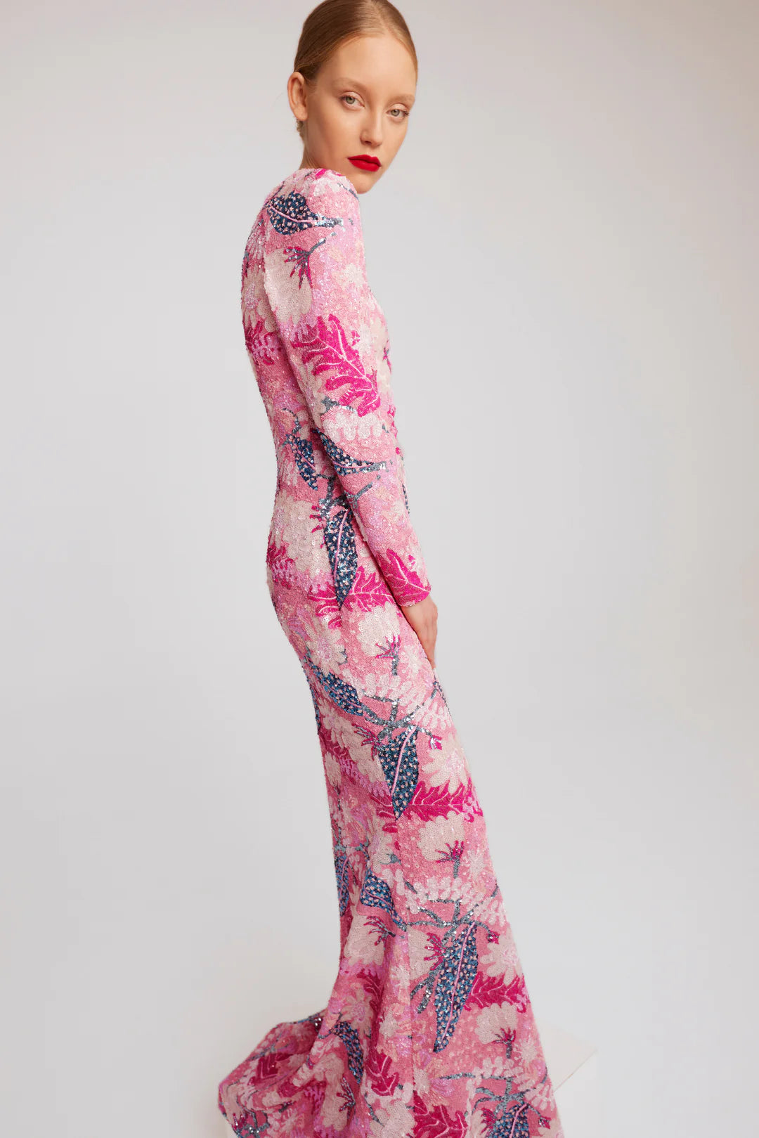 Long Sleeve Embellished Gown