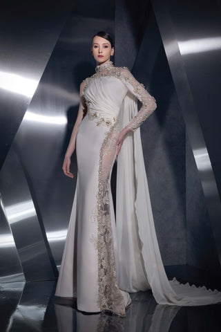 Sleeved Sheer Panel Gown